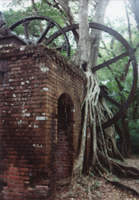 Belize sugar factory ruins